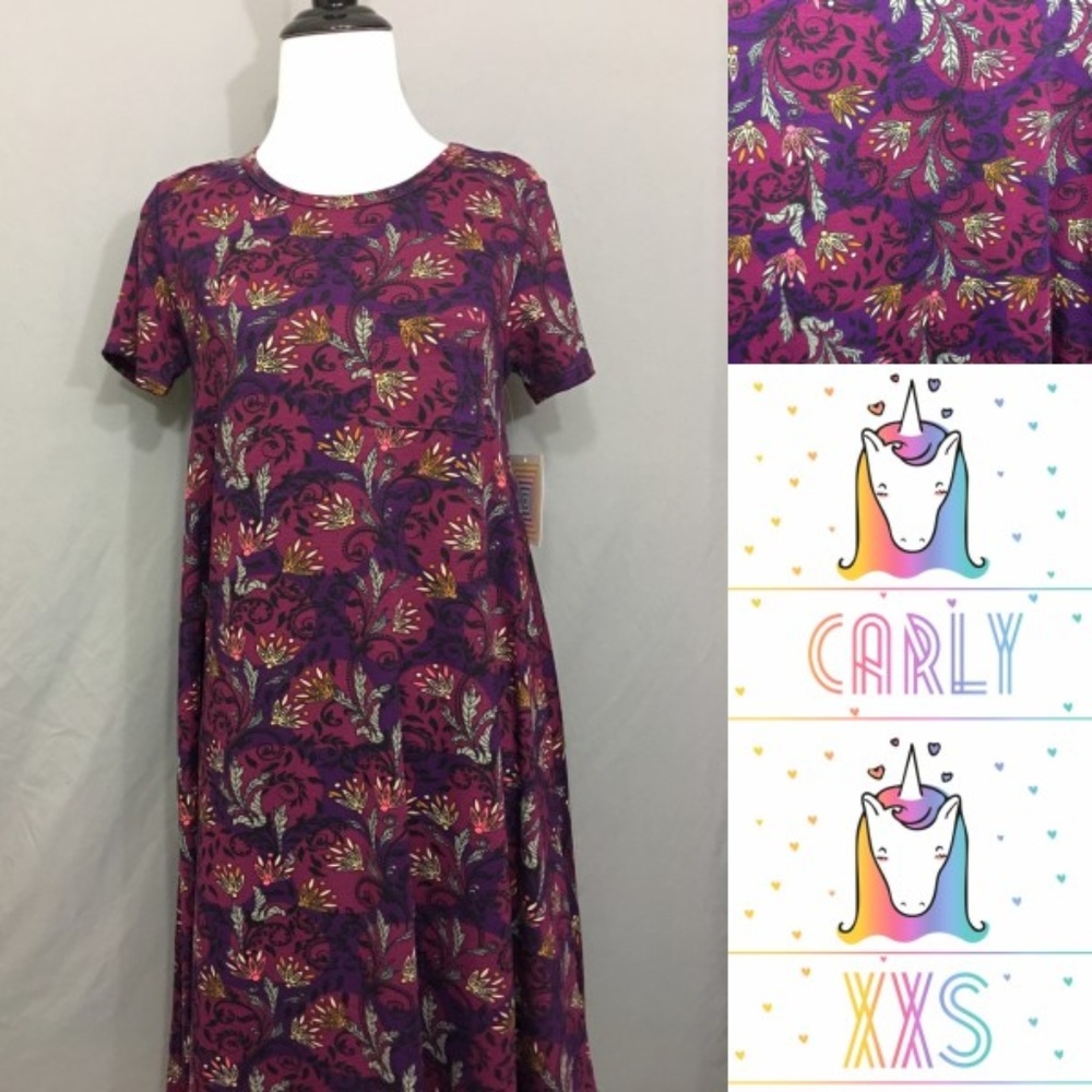 NWT LuLaRoe Carly Dress